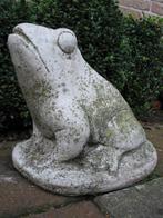 tuinbeeld kikker, Ophalen, Gebruikt, Beton, Dierenbeeld