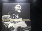 WILLIE NELSON - LIVE AT THE TEXAS OPRY HOUSE 2LP, Verzenden, Zo goed als nieuw