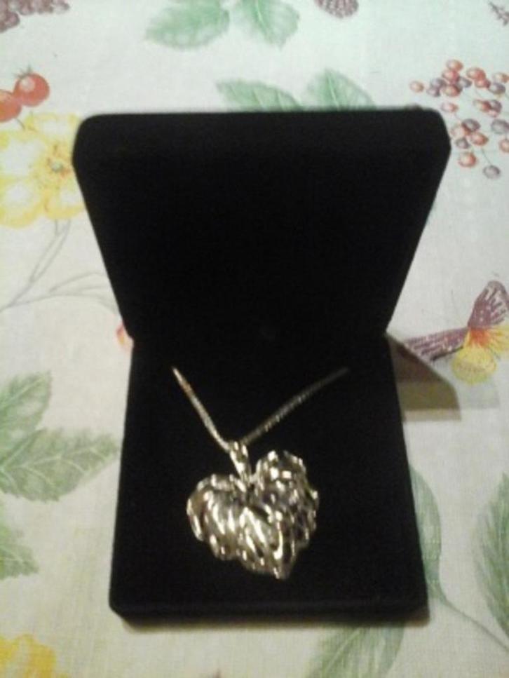 KETTING met hart en ring, ketting met hart, Nieuw, Sieraden, Tassen en Uiterlijk, Kettingen, Nieuw, Overige materialen, Zilver