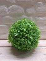 Kunst Buxus Bol - Klein, Verzenden, Nieuw, Binnen