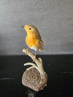 opgezette roodborst, Ophalen of Verzenden, Nieuw, Vogel, Opgezet dier