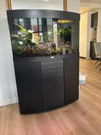 Juwel vision 180 nieuw model, Dieren en Toebehoren, Vissen | Aquaria en Toebehoren, Ophalen, Zo goed als nieuw, Leeg aquarium