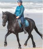 Gediplomeerd instructrice paardrijles dressuurles paarden, Dieren en Toebehoren, Ophalen, Nieuw, Dressuur
