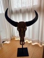 Buffel schedel decoratieve., Ophalen, Zo goed als nieuw