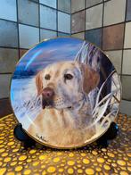 Franklin Mint Heirloom,Watchful Compagnion,sierbord,Labrador, Ophalen of Verzenden