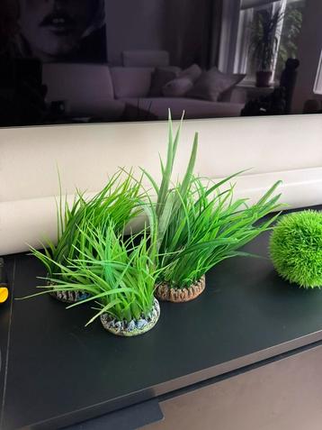 biOrb Grasring voor luchtbuis - large 25 cm beschikbaar voor biedingen