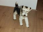 Oude Porseleinen Hond. Merk Goebel., Antiek en Kunst, Ophalen of Verzenden