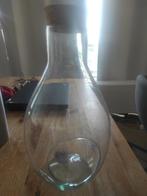Plant terrarium made of glass, Huis en Inrichting, Ophalen, Zo goed als nieuw