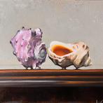 Stilleven met schelpen II (2025), Antiek en Kunst, Kunst | Schilderijen | Klassiek, Ophalen of Verzenden