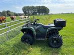 Yamaha Grizzly 700, Motoren, Quads en Trikes, 700 cc, Meer dan 35 kW
