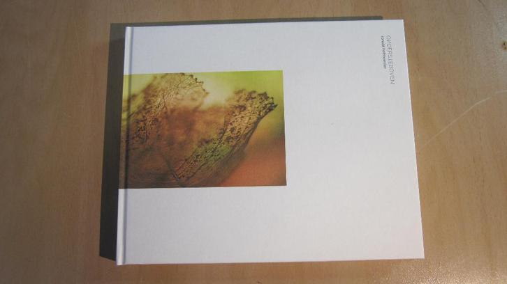 Ondersteboven Ronald Hofmeester, Boeken, Kunst en Cultuur | Beeldend, Zo goed als nieuw, Overige onderwerpen, Ophalen of Verzenden