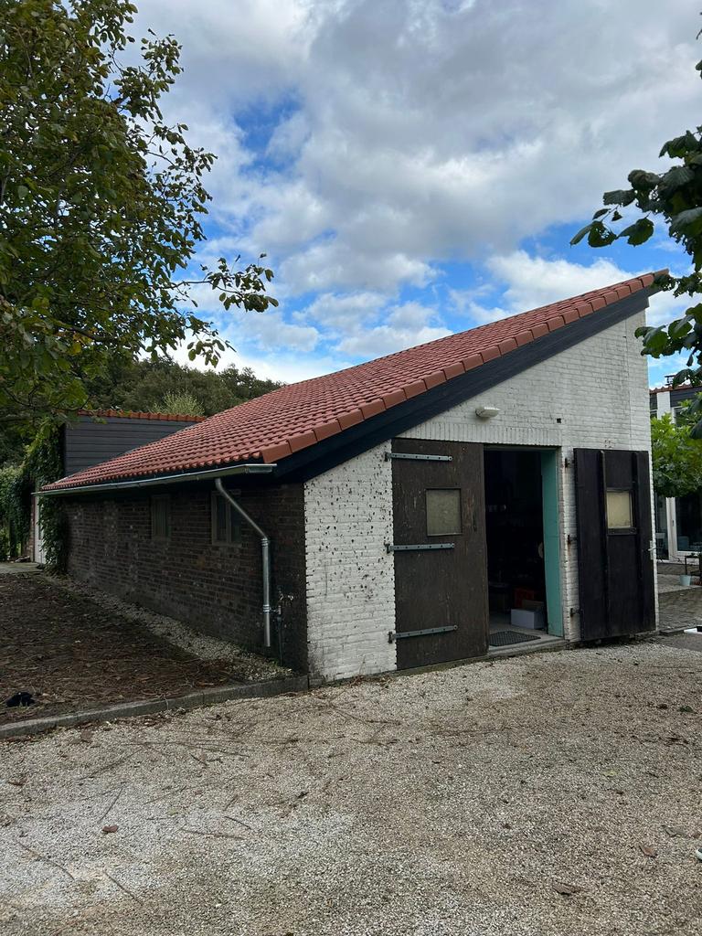 Dakrenovatie - Pannendak - Branddaken - Schoorsteenrenovatie, Diensten en Vakmensen, Dakdekkers en Rietdekkers