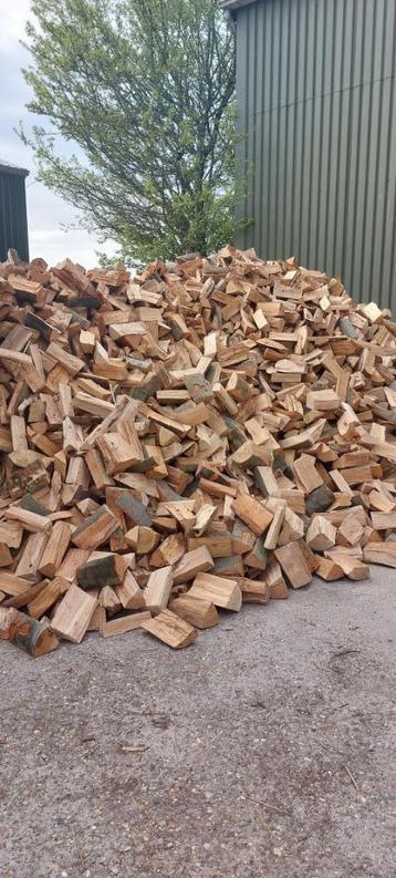 Beuken haardhout beschikbaar voor biedingen