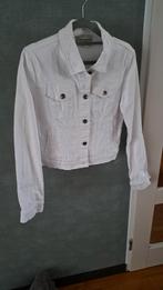 Wit spijker jeans jasje jack spijkerjack maat m  klockhouse, Ophalen of Verzenden, Zo goed als nieuw, Maat 36 (S), Blauw