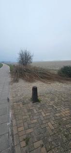 wilgentakken gratis afhalen, Tuin en Terras, Minder dan 3 m³, Ophalen, Overige houtsoorten, Takken