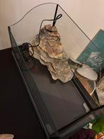 Terrarium 51x27x27, Dieren en Toebehoren, Reptielen en Amfibieën | Toebehoren, Ophalen, Terrarium of Paludarium