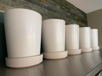 Set van vijf stenen plantenpotten met onderschotel beschikbaar voor biedingen