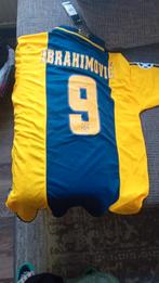 Ibrahimovic ajax voetbalshirt, Seizoenskaart, Eén persoon, September