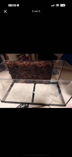 Compleet aquarium met toebehoren, Dieren en Toebehoren, Vissen | Aquaria en Toebehoren, Ophalen, Zo goed als nieuw, Gevuld zoetwateraquarium