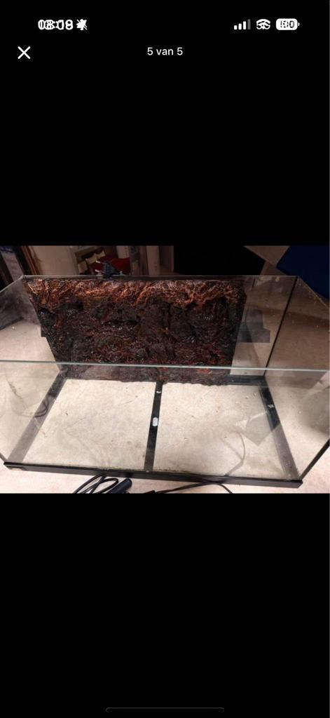 Compleet aquarium met toebehoren, Dieren en Toebehoren, Vissen | Aquaria en Toebehoren, Zo goed als nieuw, Gevuld zoetwateraquarium