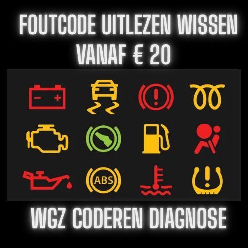 Auto Diagnose – Foutcodes Uitlezen & Wissen | Alle Merken, Auto diversen, Tuning en Styling, Ophalen of Verzenden