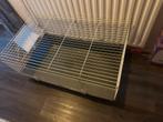 Grote Ferplast binnenkooi evt. Met langharige cavis beertjes, Kooi, 110 cm of meer, Zo goed als nieuw, Cavia