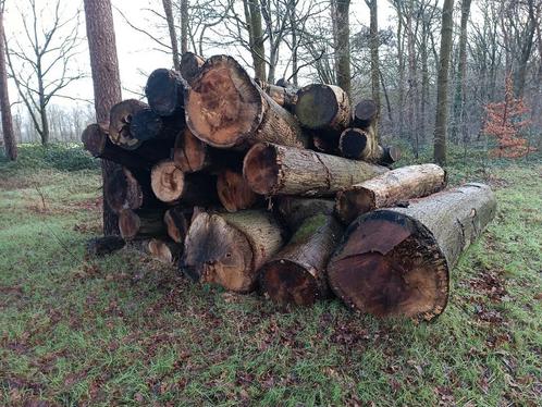 Eiken stammen te koop (haardhout, stookhout, kachel), Tuin en Terras, Haardhout, Stammen, Eikenhout, 6 m³ of meer, Ophalen of Verzenden