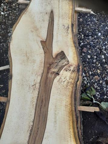 boomstamplanken, schaaldelen, hout, planken  beschikbaar voor biedingen