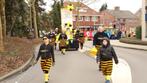 Carnavals kleding loopgroep(je) thema bijen, Ophalen of Verzenden, Zo goed als nieuw, Carnaval