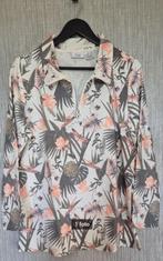 Trui Paola, Kleding | Dames, Ophalen of Verzenden, Zo goed als nieuw, Maat 42/44 (L)