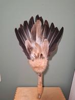 Smudge veren feather fan, sjamaan stok, transformatie, Ophalen of Verzenden