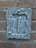 Schelp wanddecoratie betonnen beeld tuinbeeld beton, Ophalen of Verzenden, Nieuw