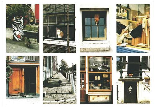 963111	Cats of	Amsterdam	katten	Mooie oude kaart onbeschreve, Verzamelen, Ansichtkaarten | Nederland, Ongelopen, Noord-Holland