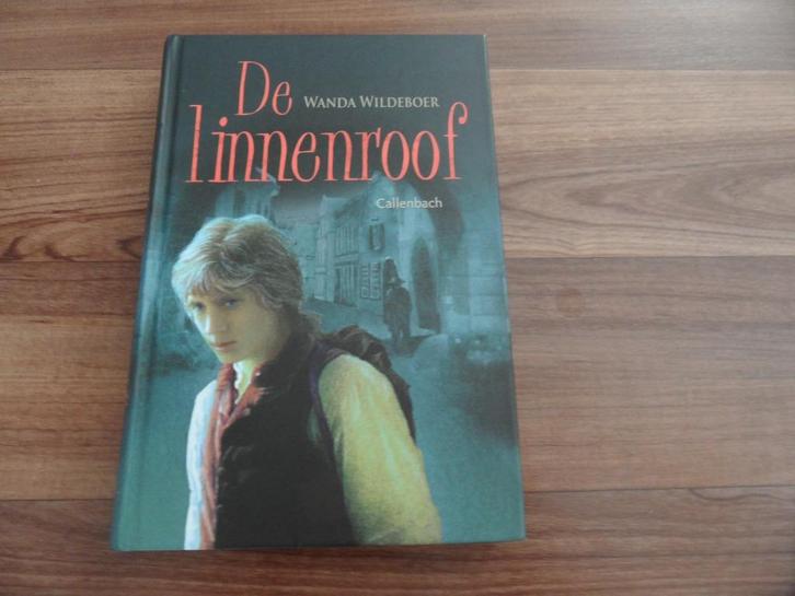 De linnenroof- Wanda Wildeboer, Boeken, Kinderboeken | Jeugd | 13 jaar en ouder, Zo goed als nieuw, Ophalen of Verzenden