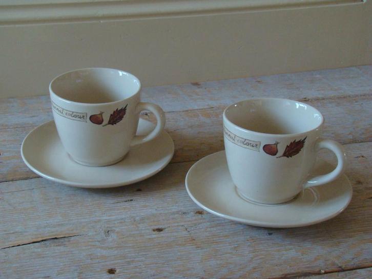 Servies, Jet (by Ter Steege) AUTUMNAL COLORS, z.g.a.n., Huis en Inrichting, Keuken | Servies, Zo goed als nieuw, Overige typen