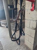 Anatomisch hoofdstel full, Dieren en Toebehoren, Ophalen, Dressuur