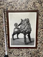Oosterse kunst foo dog leeuw beeld curiosa, Ophalen of Verzenden