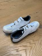 Shimano RP3 wielrenschoenen maat 42, Ophalen, Zo goed als nieuw, Kleding