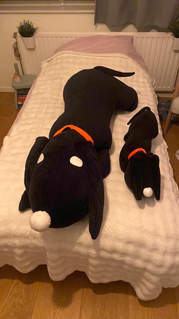 Reuze takkie XXL van velours stof. Gewonnen bij hema, Kinderen en Baby's, Speelgoed | Knuffels en Pluche, Zo goed als nieuw, Hond