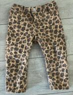 Tijgerprint Broek Voor Meisjes, Ophalen, H&M, Meisje, Broekje