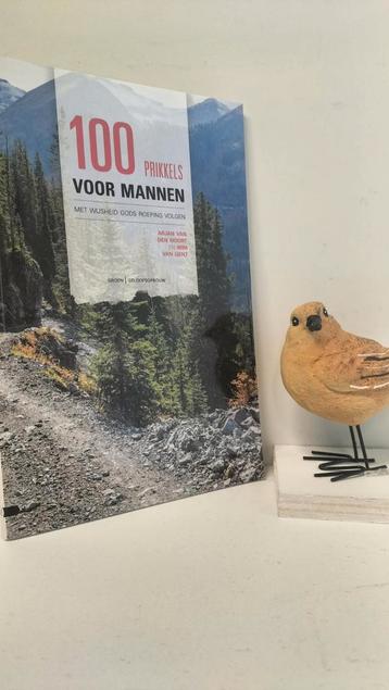 Noort, Arjan van den e.a; 100 Prikkels voor mannen  beschikbaar voor biedingen