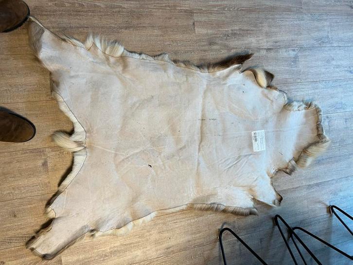 Authentieke Rendier Vacht - Decoratief en Warm, Huis en Inrichting, Stoffering | Tapijten en Kleden, Gebruikt, 50 tot 100 cm, 100 tot 150 cm