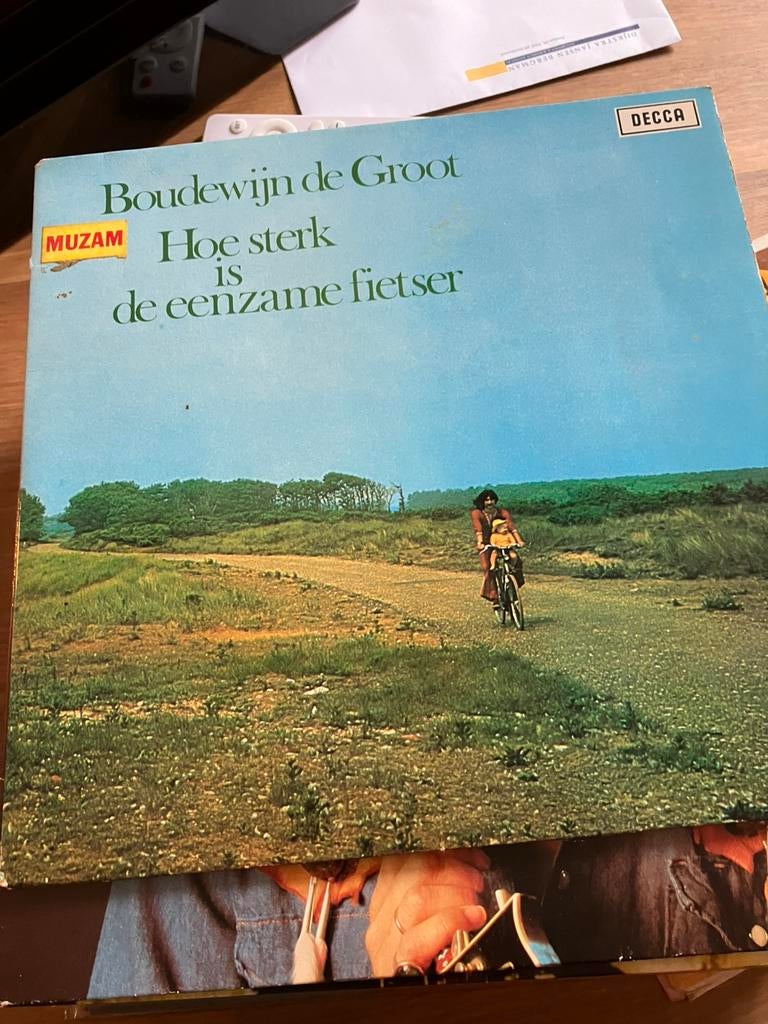 Boudewijn de Groot. Hoe sterk is de eenzame fietser, Cd's en Dvd's, Vinyl | Nederlandstalig, Ophalen, Gebruikt, Overige formaten