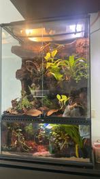 Terrarium exoterra 60*45*90 met toebehoren, Ophalen, Zo goed als nieuw, Terrarium of Paludarium
