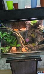 Terrarium 75x60x35, Ophalen, Zo goed als nieuw