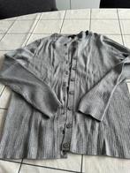 Mooi grijs dames vest. Lang, Ophalen of Verzenden, Zo goed als nieuw, Maat 46/48 (XL) of groter, Grijs