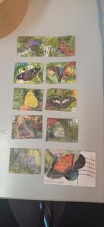 Vlinders St Eustatius 2025, Ophalen of Verzenden