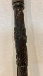 Didgeridoo, Ophalen of Verzenden