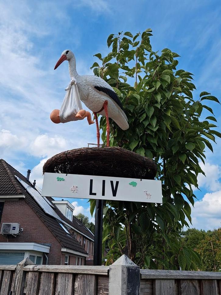 Te huur: Ooievaarsnest, Kinderen en Baby's, Kraamcadeaus en Geboorteborden, Nieuw, Ophalen of Verzenden