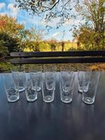 10 kristallen waterglazen Lemberg Lorraine, Ophalen of Verzenden